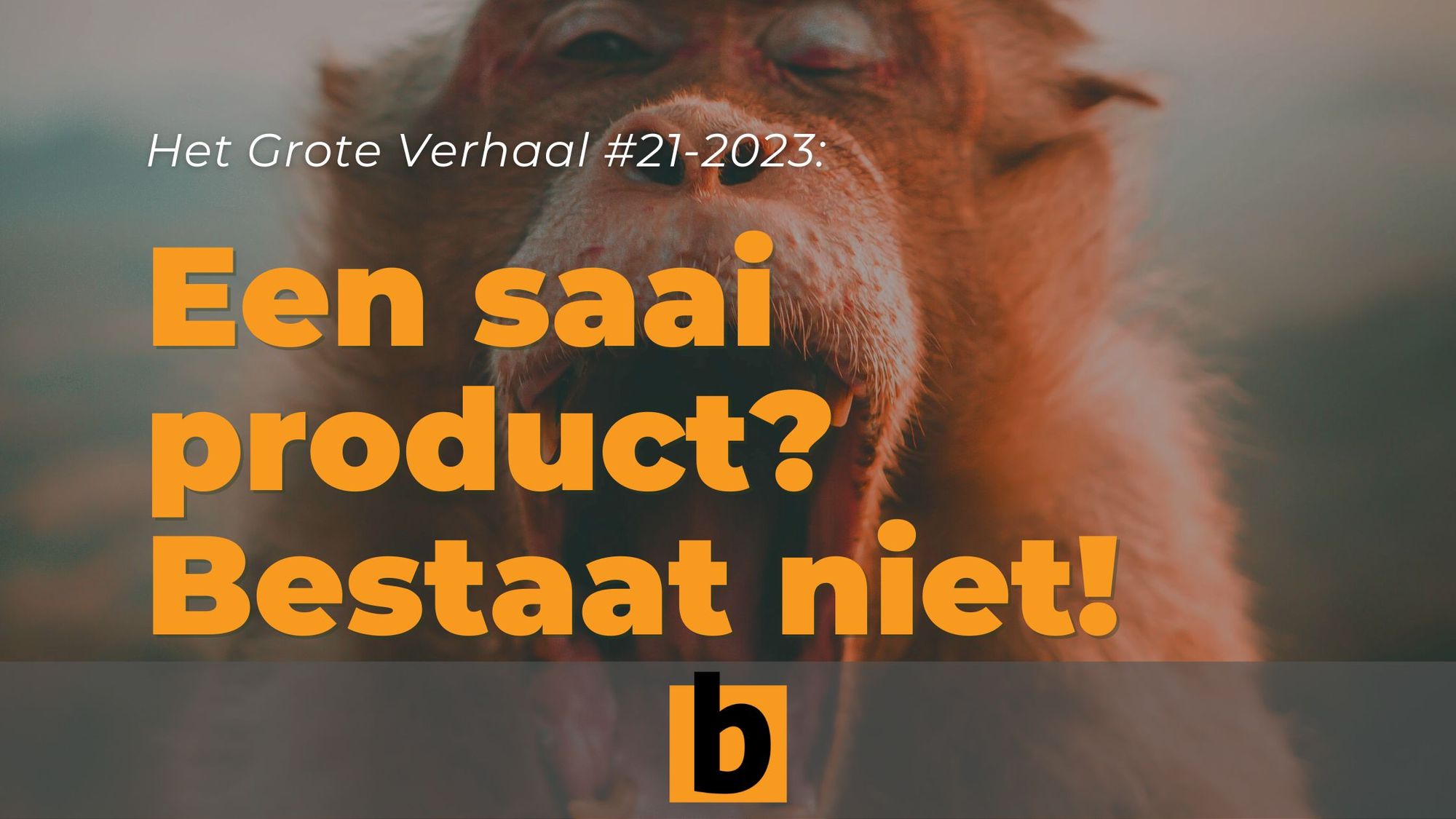 Hoe doe je marketing voor een saai product?