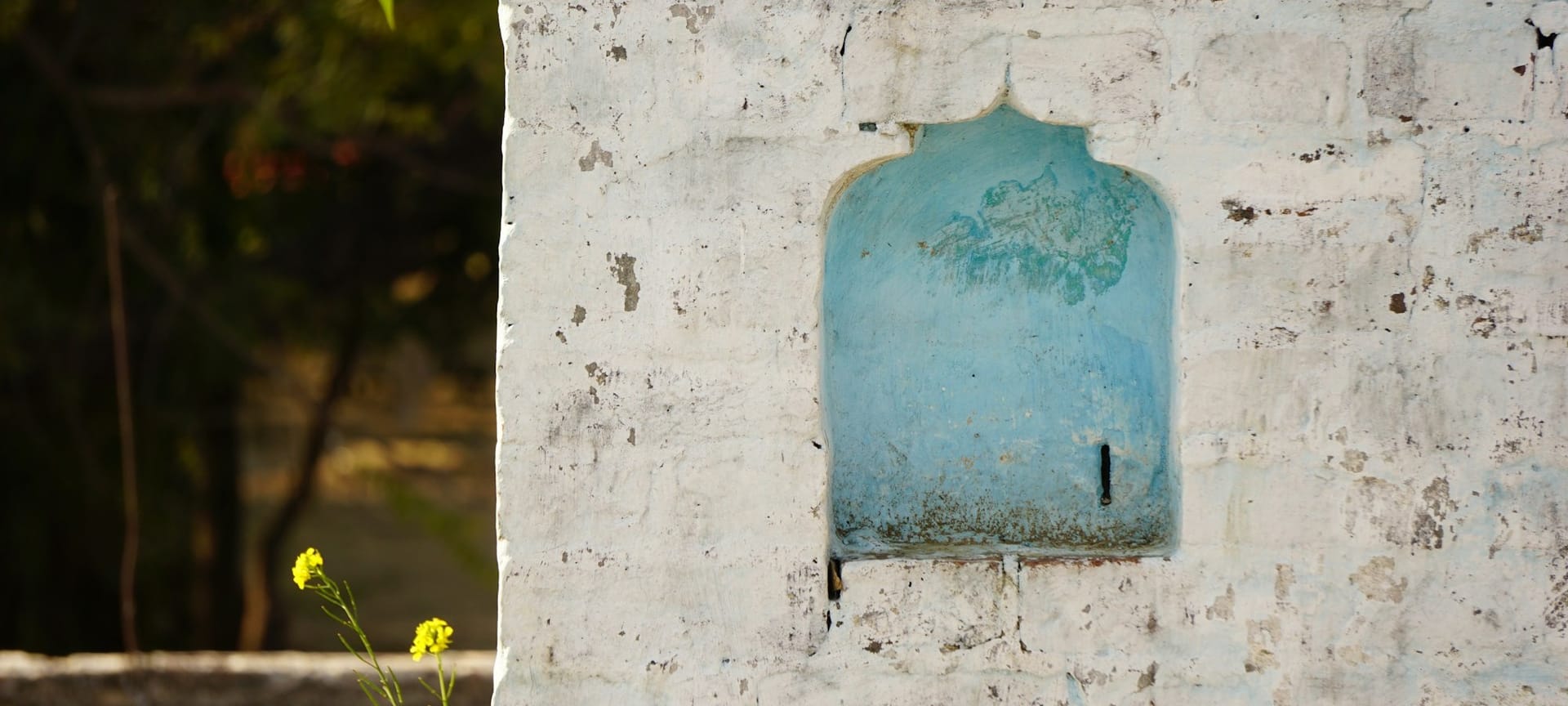 Misschien heeft je niche jou al gevonden en weet je het gewoon nog niet